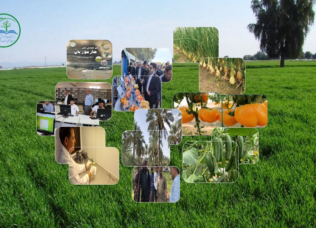 تصاویر مرکز