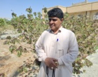 برگزاری آئین آغاز سال تحصیلی هنرستان دخترانه کوشش کهنوج با تأکید بر پیوند آموزش و مهارت