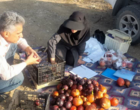 بررسی ارقام و ژنوتیپ‌های برتر انار در پایگاه تحقیقاتی اسفندقه