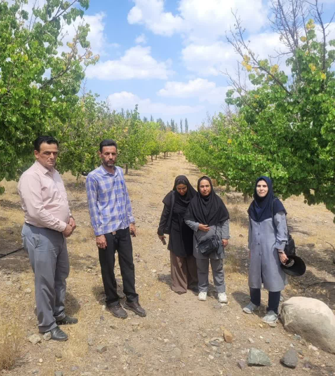 بازدید محقق معین مرکز از مزارع الگویی مراکز جهاد کشاورزی دلفارد و ساردوئیه