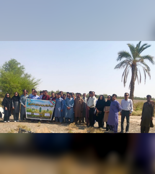 دوره آموزشی-ترویجی کشت گندم در رودبار جنوب برگزار شد