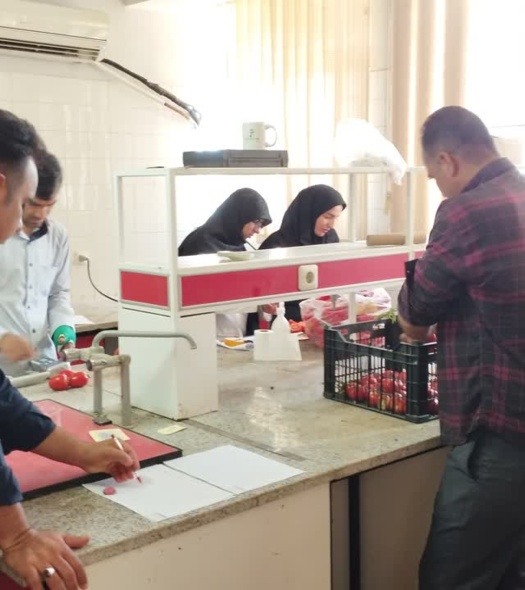 یادداشت‌برداری از پروژه «گزینش ژنوتیپ‌های برتر گوجه‌فرنگی در نسل‌های در حال تفکیک» در مرکز جنوب کرمان