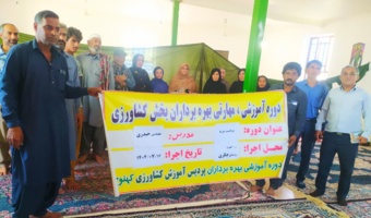 دوره آموزشی برداشت خرما در شهرستان کهنوج