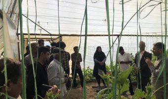 کارگاه آموزشی ترویجی مدیریت بیماری‌های محصولات گلخانه‌ای