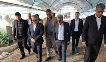 بازدید معاون وزیر و رئیس سازمان تات از گلخانه تولید بادمجان و فلفل در جیرفت