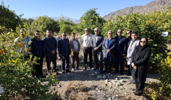 بازدید از پروژه تحقیقاتی زوال مرکبات در منطقه کوهستانی نراب از توابع شهرستان جیرفت