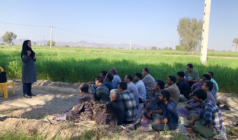 برگزاری کارگاه آموزشی ترویجی مدیریت آفت سن گندم