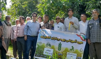 کارگاه آموزشی ترویجی مدیریت آفت مگس انبه