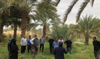 کارگاه آموزشی ترویجی اصول تغذیه و به باغی نخلستان