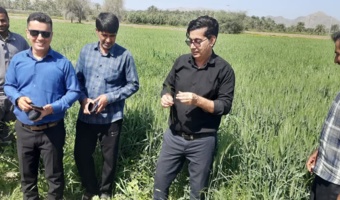 کارگاه آموزشی ترویجی مدیریت آفت سن گندم در شهرستان منوجان