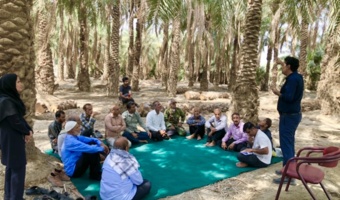 کارگاه آموزشی ترویجی مدیریت آفت کرم میوه‌خوار خرما