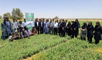 روز مزرعه استانی حنا در شهرستان رودبار جنوب