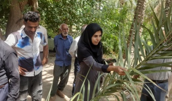 کارگاه آموزشی ترویجی راهکارهای مدیریتی آفت زنجره خرما