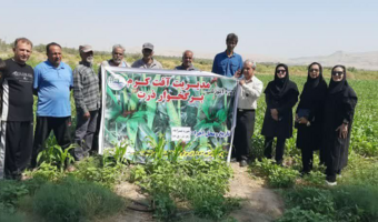 برگزاری دوره آموزشی ترویجی مدیریت آفت کرم برگ‌خوار پاییزه ذرت در حوزه شهرستان عنبرآباد