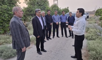 ارزیابی میدانی ظرفیت‌های تحقیقاتی جنوب کرمان جهت جهش تولید و رفع چالش‌ها