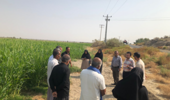 برگزاری دوره آموزشی ترویجی اصول تغذیه مزارع ذرت