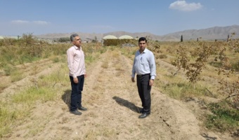 بازدید سرپرست مرکز تحقیقات و آموزش کشاورزی جنوب کرمان از امکانات و ژنوتیپ‌های پایگاه تحقیقاتی اسفندقه