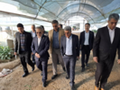 بازدید معاون وزیر و رئیس سازمان تات از گلخانه تولید بادمجان و فلفل در جیرفت