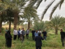 کارگاه آموزشی ترویجی اصول تغذیه و به باغی نخلستان