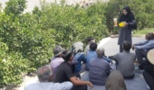 دوره آموزشی ترویجی با موضوع مدیریت آفت مگس مدیترانهای در شهرستان عنبرآباد