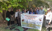 دوره آموزشی مدیریت سوسک سرخرطومی حنایی خرما در شهرستان منوجان