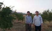 بازدید سرپرست مرکز تحقیقات جنوب کرمان از پایگاه تحقیقاتی اسفندقه / تأکید بر توسعه باغ‌های الگویی و دانش‌بنیان