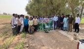 دوره آموزشی ترویجی مدیریت آفت کرم برگ‌خوار ذرت در جوار مزرعه الگویی در شهرستان جازموریان