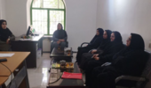 نشست کارگروه تخصصی تدوین سند دانش‌بنیان و مزارع الگویی در دلفارد برگزار شد