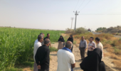 برگزاری دوره آموزشی ترویجی اصول تغذیه مزارع ذرت