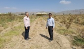 بازدید سرپرست مرکز تحقیقات و آموزش کشاورزی جنوب کرمان از امکانات و ژنوتیپهای پایگاه تحقیقاتی اسفندقه