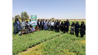 روز مزرعه استانی حنا در شهرستان رودبار جنوب