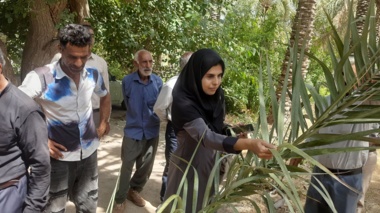 کارگاه آموزشی ترویجی راهکارهای مدیریتی آفت زنجره خرما