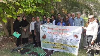دوره آموزشی مدیریت سوسک سرخرطومی حنایی خرما در شهرستان منوجان