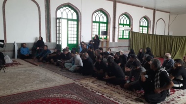 دوره آموزشی مدیریت تلفیقی مگس میوه مدیترانه‌ای در شهرستان عنبرآباد