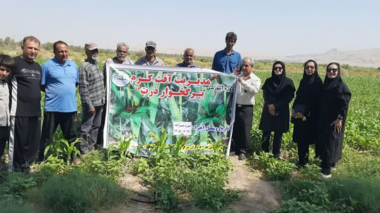 برگزاری دوره آموزشی ترویجی مدیریت آفت کرم برگ‌خوار پاییزه ذرت در حوزه شهرستان عنبرآباد