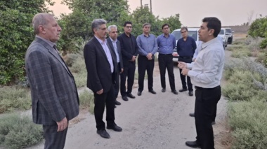 ارزیابی میدانی ظرفیت‌های تحقیقاتی جنوب کرمان جهت جهش تولید و رفع چالش‌ها