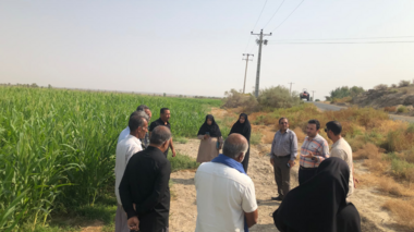 برگزاری دوره آموزشی ترویجی اصول تغذیه مزارع ذرت