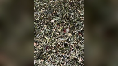 اجرای پروژه تحقیقاتی تولید سیلاژ از ضایعات محصولات گلخانه‌ای جنوب کرمان توسط محقق بخش تحقیقات علوم دامی مرکز