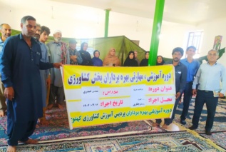 دوره آموزشی برداشت خرما در شهرستان کهنوج