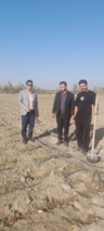 بازدید محققین معین مرکز از مزارع هلیل و هوکرد