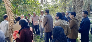 آموزش راهکارهای شناسایی و مدیریت نوین آفت سوسک سرخرطومی حنایی خرما در شهرستان منوجان