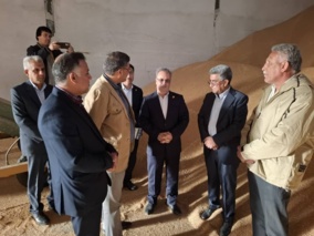 بازدید معاون وزیر و رئیس سازمان تحقیقات، آموزش و ترویج کشاورزی از شرکت خصوصی تولید بذر مادری گندم در رودبار جنوب