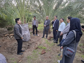 بازدید از باغات آلوده به سوسک سرخرطومی حنایی خرما و باغات درگیر بیماری جاروک و زوال مرکبات