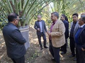 بازدید از پروژه کنترل آفت خطرناک سوسک سرخرطومی حنایی خرما در باغات خرمای شهرستان عنبرآباد
