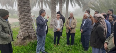 کارگاه آموزشی ترویجی مدیریت نوین آفت سوسک سرخرطومی حنایی خرما در شهرستان عنبرآباد