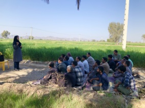 برگزاری کارگاه آموزشی ترویجی مدیریت آفت سن گندم