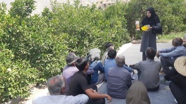 دوره آموزشی ترویجی با موضوع مدیریت آفت مگس مدیترانه‌ای در شهرستان عنبرآباد