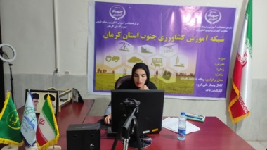 دوره آموزشی مدیریت درختان پسته ویژه کارشناسان سازمان جهاد کشاورزی جنوب کرمان