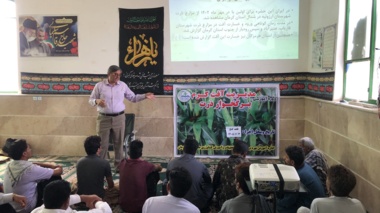 دوره آموزشی ترویجی مدیریت آفت کرم برگخوار ذرت