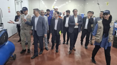 بازدید نماینده فائو و متخصصین موسسه تحقیقات گیاه‌پزشکی از زیرساخت‌های صادراتی محصولات کشاورزی جیرفت